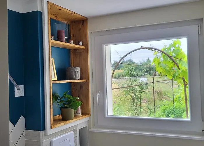 Апартаменты Charme Et Nature, Cosy Avec Etang Prive, Au Carrefour De 3 Departements *